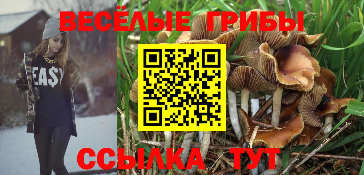 Псилоцибиновые грибы ЛСД Ростов-на-Дону