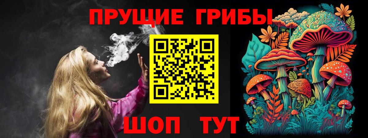 Ростов-на-Дону  Псилоцибиновые грибы Psilocybe  Вход с VPN 